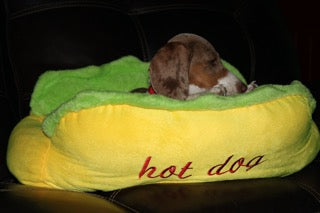 Original Hot Dog Bed