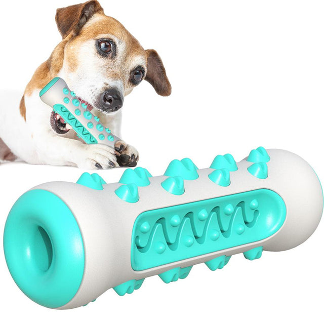 Toothbrush Dog Chew Toy