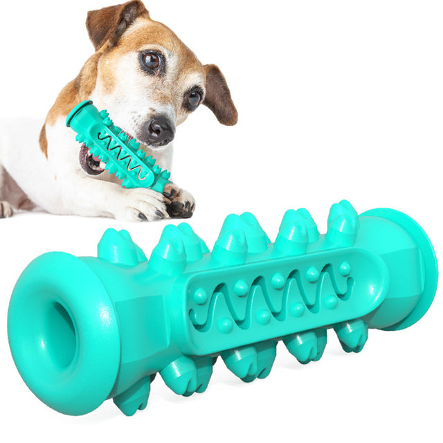 Toothbrush Dog Chew Toy