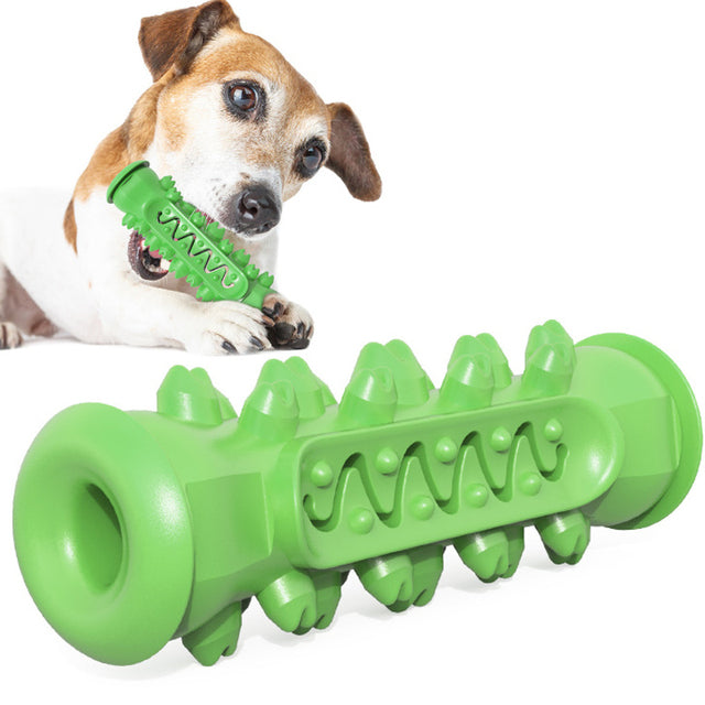 Toothbrush Dog Chew Toy